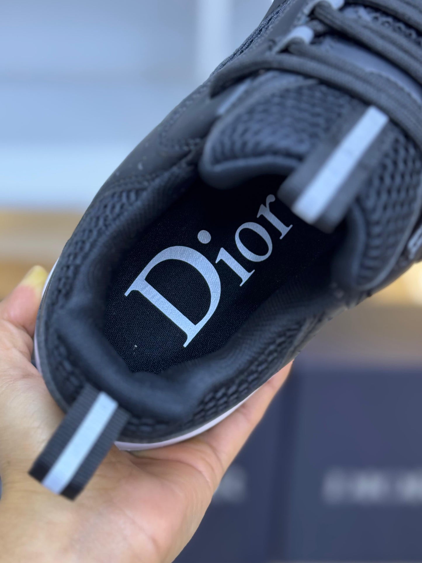 Dior B22 negra y blanca