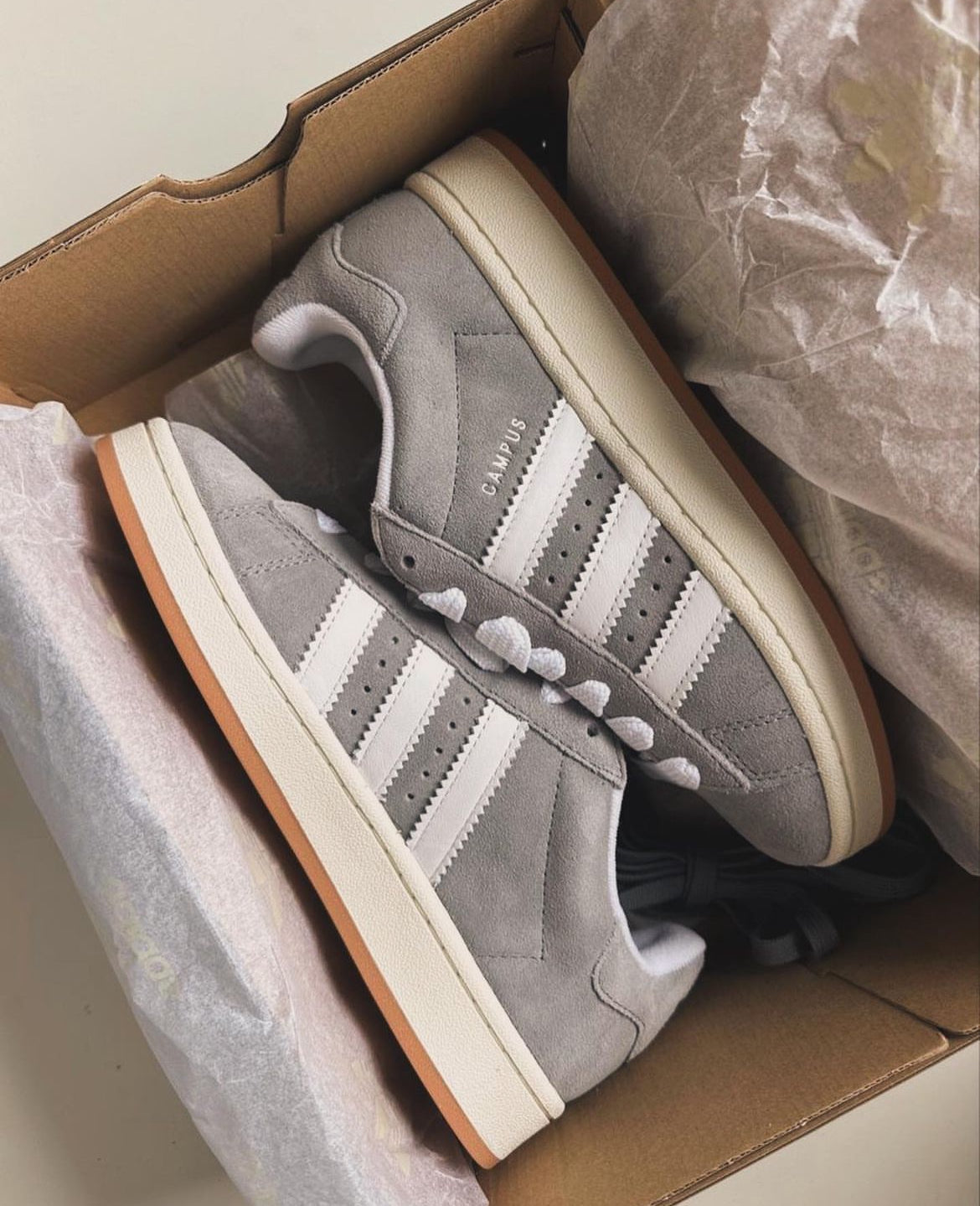 Adidas CAMPUS gris/Blanca