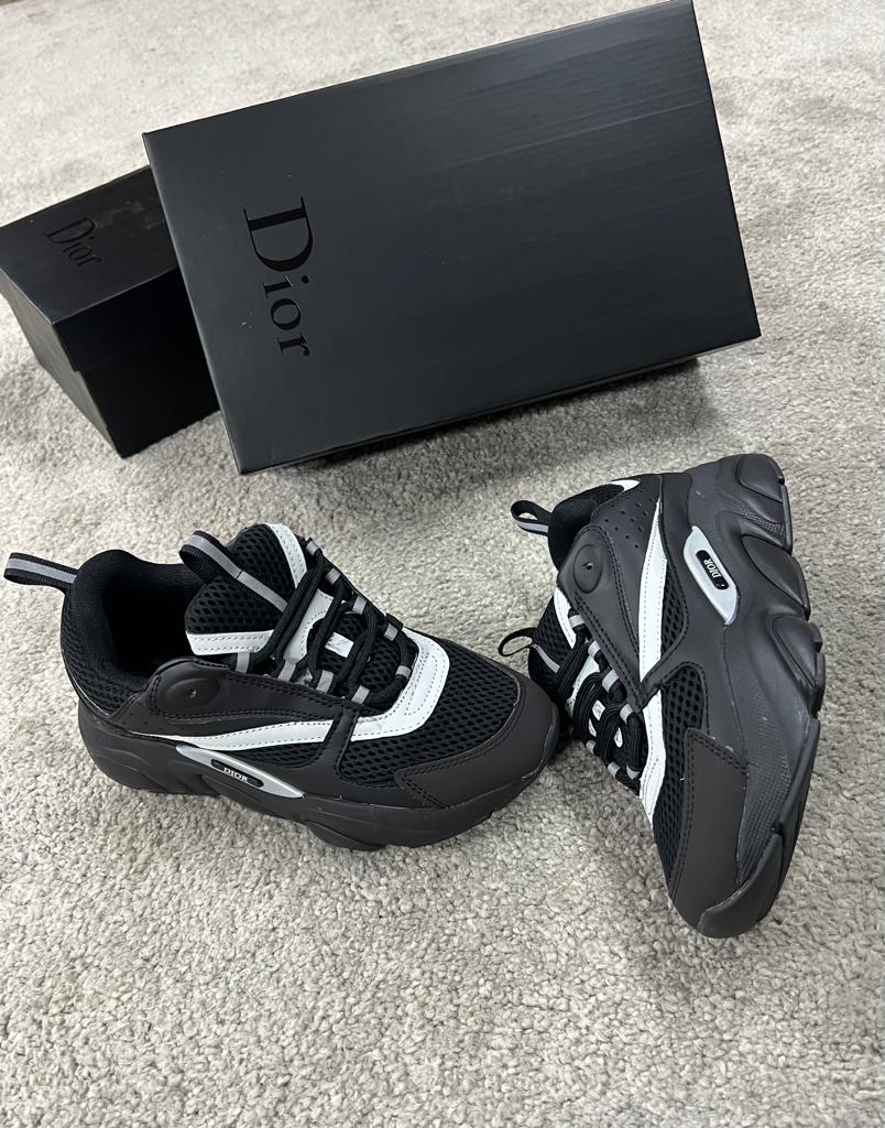 Dior B22